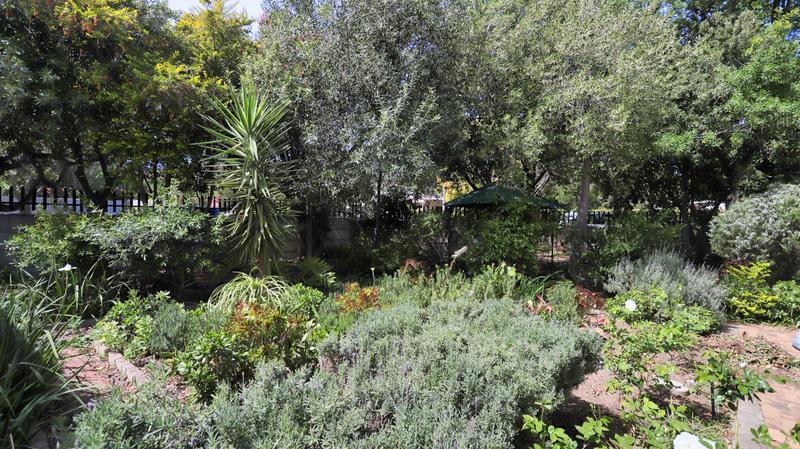 4 Bedroom Property for Sale in Somerset West Western Cape